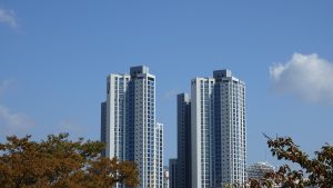 של מי הדירה שבעלותה הועברה כדי להתחמק מנושים