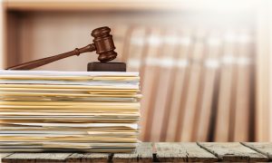 נימוק המדינה להתנגדות לאימוץ עי בני זוג בני אותו מין